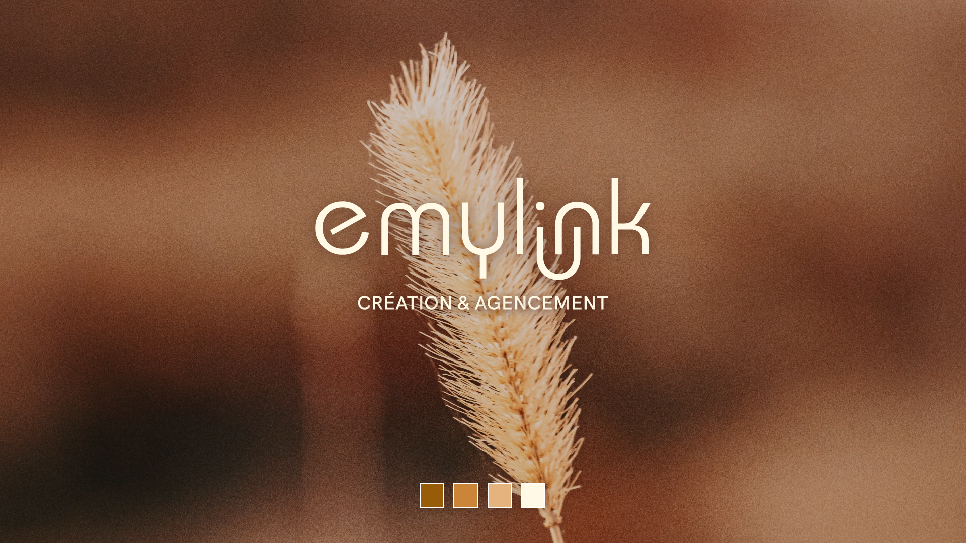 Présentation du logo d'Emylink