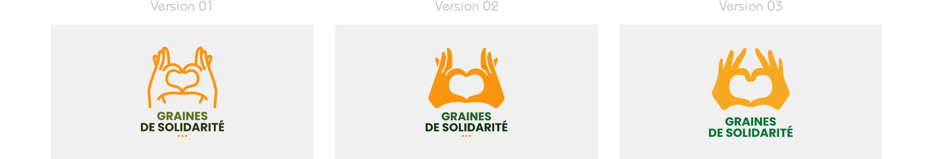 Différentes propositions pour la création du logotype de Graines de Solidarité