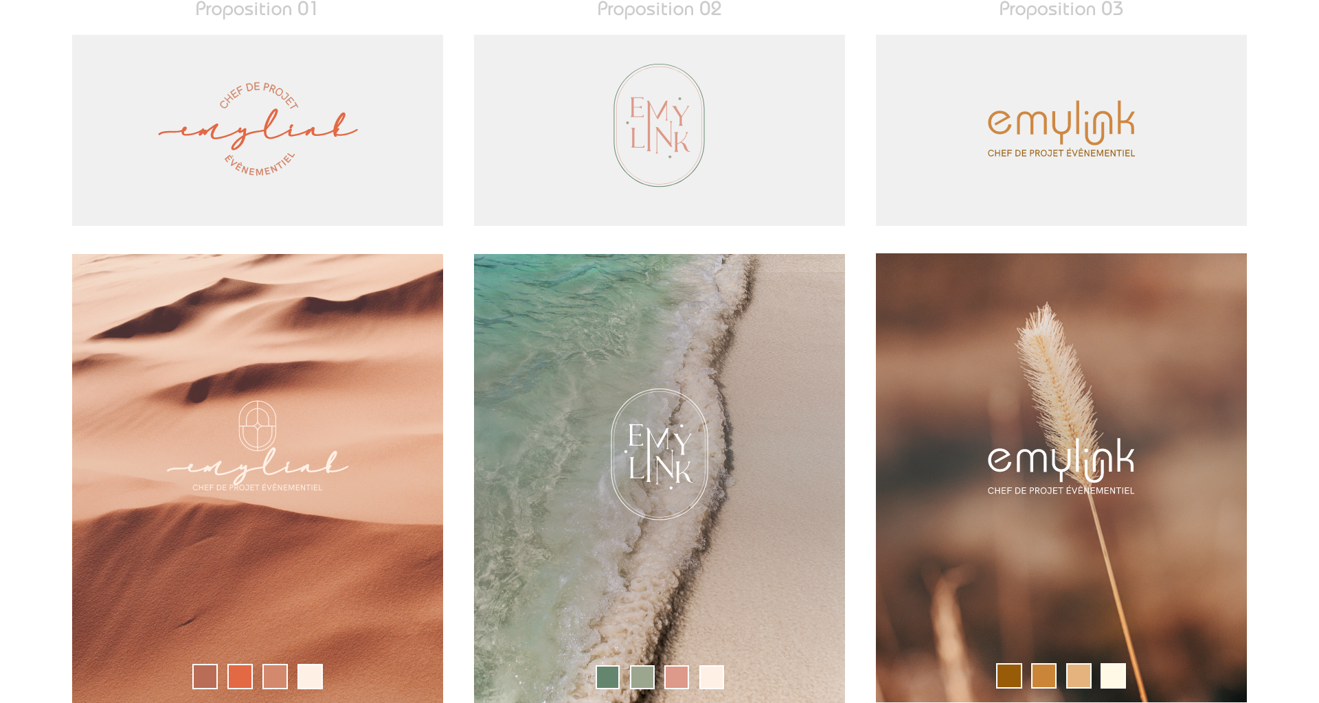 Visuel des différentes propositions de logo pour Emylink